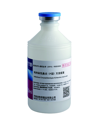 鸡传染性鼻炎（A型）灭活疫苗