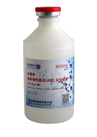 鸡传染性鼻炎（A型）灭活疫苗（QL-Apg-3株)