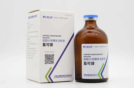 盐酸头孢噻呋注射液