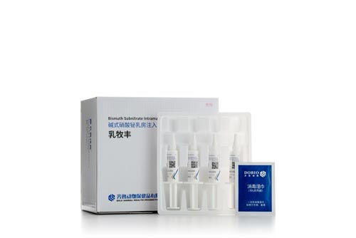 碱式硝酸铋乳房注入剂（干乳期）